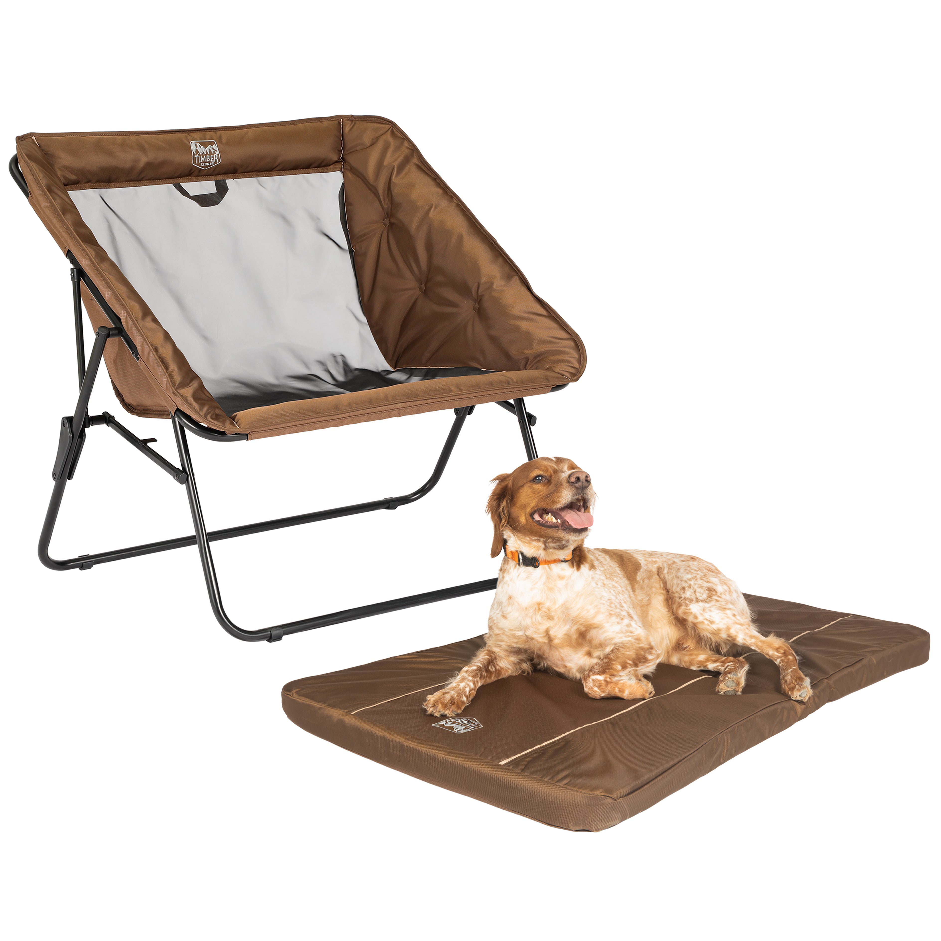 Dog hotsell camping chair