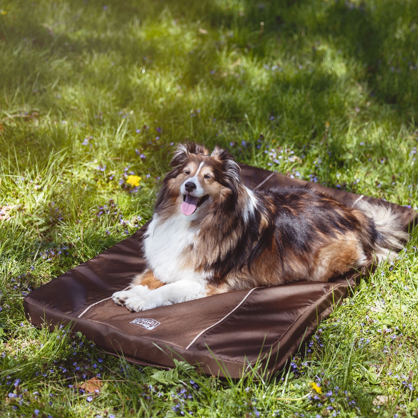 Timber Ridge® Folding Chair with Pet Mat